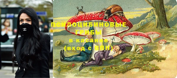 мдпв Няндома