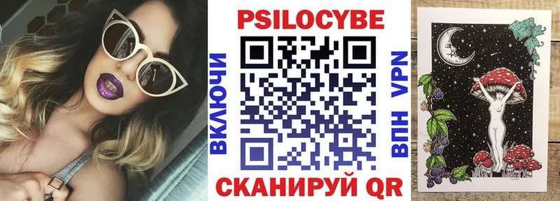 Галлюциногенные грибы Psilocybine cubensis  как найти закладки  shop официальный сайт  Нелидово 